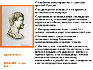 Аристотель
                          
             
(384-322 гг. до
н.э.)
Наиболее всесторонний мыслитель
древней Греции
Выдающийся и первый в те времена
исследователь природы.
Аристотель снабжал свои наблюдения
зарисовками, ставшими единственным
научным пособием, которое помогало при
исследованиях.
 По предложению Аристотеля был
создан первый в мире зоологический сад.
Ученый имел представление о
различиях между большими
подразделениями животного мира.
 Он знал, что главнейшим признаком,
млекопитающих, является наличие у них
органов воздушного дыхания - легких и
горячей крови, они живородящи, питают
детенышей молоком и что плод,
находящийся в утробе матери, прикреплен
к матке посредством пуповины.
 
