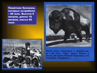 Памятник бизонам,
которых истребили
– 60 млн. Высота 9
метров, длина 16
метров, масса 60
тонн
 