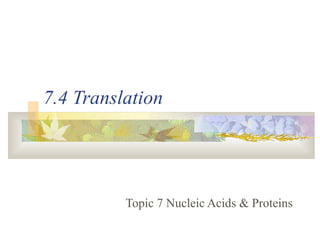 7.4 Translation
Topic 7 Nucleic Acids & Proteins
 