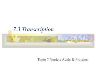 7.3 Transcription
Topic 7 Nucleic Acids & Proteins
 