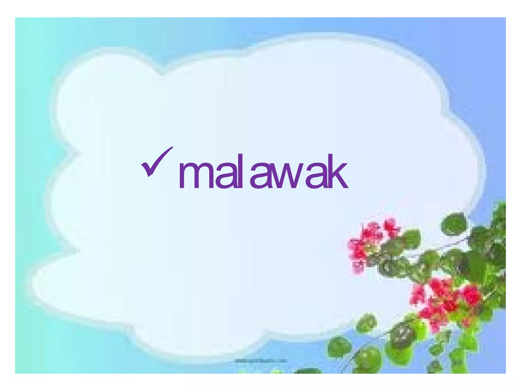 malawak