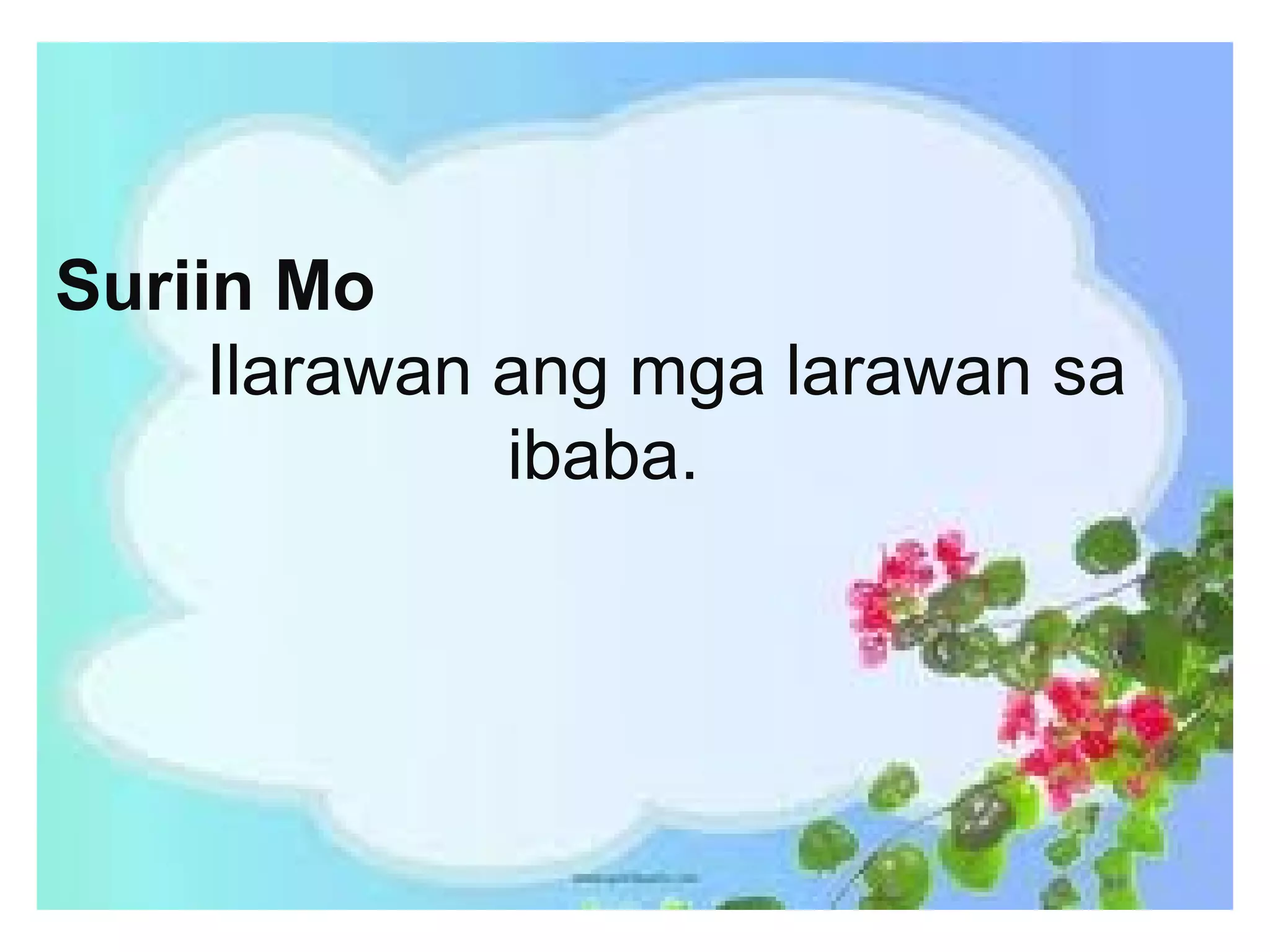 Suriin Mo
Ilarawan ang mga larawan sa
ibaba.