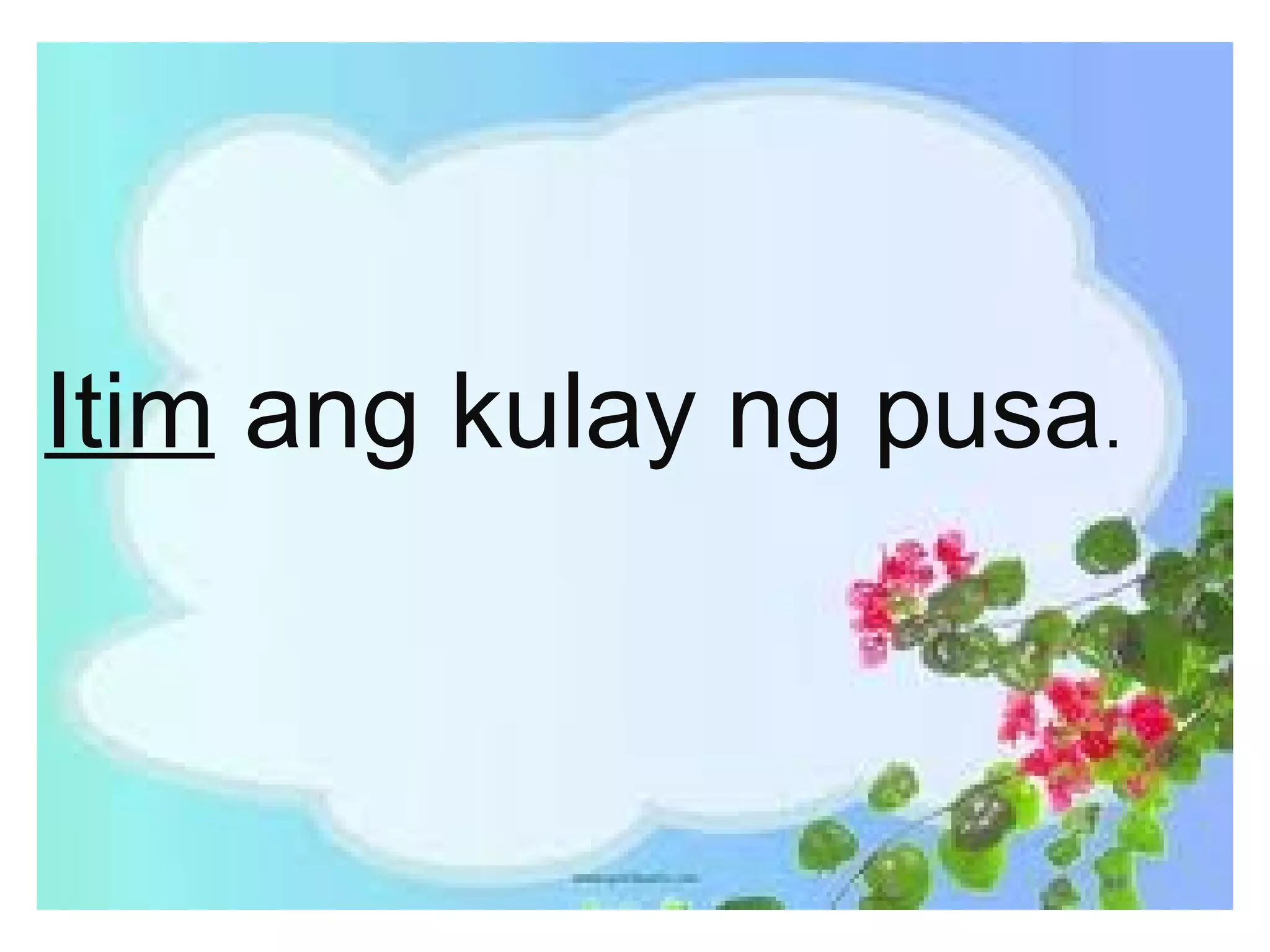 Itim ang kulay ng pusa.