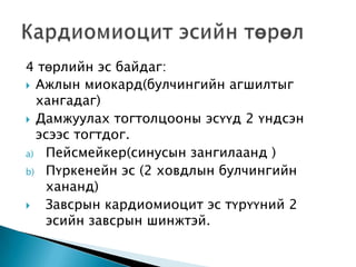 4 төрлийн эс байдаг:
 Ажлын миокард(булчингийн агшилтыг
хангадаг)
 Дамжуулах тогтолцооны эсүүд 2 үндсэн
эсээс тогтдог.
a) Пейсмейкер(синусын зангилаанд )
b) Пүркенейн эс (2 ховдлын булчингийн
хананд)

Завсрын кардиомиоцит эс түрүүний 2
эсийн завсрын шинжтэй.

 