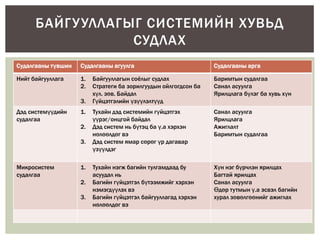 БАЙГ У УЛЛАГЫГ СИСТЕМИЙН ХУВЬД
СУДЛАХ
Судалгааны түвшин

Судалгааны агуулга

Судалгааны арга

Нийт байгууллага

1.
2.

Байгууллагын соѐлыг судлах
Стратеги ба зорилгуудын ойлгогдсон ба
хүл. зөв. Байдал
Гүйцэтгэлийн үзүүлэлтүүд

Баримтын судалгаа
Санал асуулга
Ярилцлага бүлэг ба хувь хүн

Тухайн дэд системийн гүйцэтгэх
үүрэг/онцгой байдал
Дэд систем нь бүтэц ба ү.а хэрхэн
нөлөөлдөг вэ
Дэд систем ямар сөрөг үр дагавар
үзүүлдэг

Санал асуулга
Ярилцлага
Ажиглалт
Баримтын судалгаа

Тухайн нэгж багийн тулгамдаад бу
асуудал нь
Багийн гүйцэтгэл бүтээмжийг хэрхэн
нэмэгдүүлэх вэ
Багийн гүйцэтгэл байгууллагад хэрхэн
нөлөөлдөг вэ

Хүн нэг бүрчлэн ярилцах
Багтай ярилцах
Санал асуулга
Өдөр тутмын ү.а эсвэл багийн
хурал зөвөлгөөнийг ажиглах

3.
Дэд системүүдийн
судалгаа

1.
2.
3.

Микросистем
судалгаа

1.
2.
3.

 