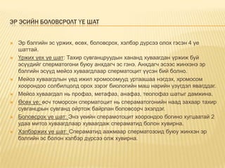 лекц7 | PPT