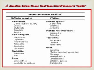 1) Receptores Canales Iónicos- Ionotrópicos Neurotransmisores “Rápidos ”

 
