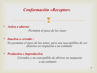 Conformación «Receptor»


• Activa o abierto:
Permiten el paso de los iones
• Inactiva o cerrado :
No permiten el paso de los iones, pero son susceptibles de ser
abiertos en respuesta a un estímulo
• Productiva e improductiva
Cerrados y no susceptible de abrirse en respuesta
a un estímulo
88

 
