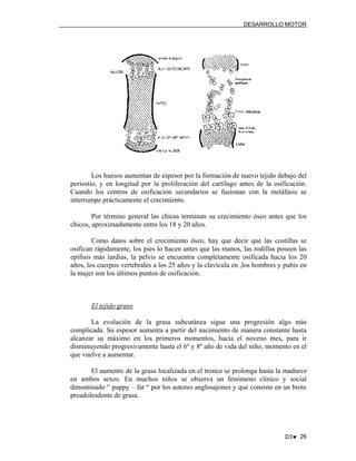 DESARROLLO MOTOR

Los huesos aumentan de espesor por la formación de nuevo tejido debajo del
periostio, y en longitud por la proliferación del cartílago antes de la osificación.
Cuando los centros de osificación secundarios se fusionan con la metáfasis se
interrumpe prácticamente el crecimiento.
Por término general las chicas terminan su crecimiento óseo antes que los
chicos, aproximadamente entre los 18 y 20 años.
Como datos sobre el crecimiento óseo, hay que decir que las costillas se
osifican rápidamente, los pies lo hacen antes que las manos, las rodillas poseen las
epífisis más tardías, la pelvis se encuentra completamente osificada hacia los 20
años, los cuerpos vertebrales a los 25 años y la clavícula en ,los hombres y pubis en
la mujer son los últimos puntos de osificación.

El tejido graso
La evolución de la grasa subcutánea sigue una progresión algo más
complicada. Su espesor aumenta a partir del nacimiento de manera constante hasta
alcanzar su máximo en los primeros momentos, hacia el noveno mes, para ir
disminuyendo progresivamente hasta el 6º y 8º año de vida del niño, momento en el
que vuelve a aumentar.
El aumento de la grasa localizada en el tronco se prolonga hasta la madurez
en ambos sexos. En muchos niños se observa un fenómeno clínico y social
denominado “ puppy – fat “ por los autores anglosajones y que consiste en un brote
preadolesdente de grasa.

D3♥ 26

 