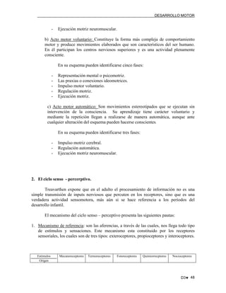 DESARROLLO MOTOR

-

Ejecución motriz neuromuscular.

b) Acto motor voluntario: Constituye la forma más compleja de comportamiento
motor y produce movimientos elaborados que son característicos del ser humano.
En él participan los centros nerviosos superiores y es una actividad plenamente
consciente.
En su esquema pueden identificarse cinco fases:
-

Representación mental o psicomotriz.
Las praxias o conexiones ideomotrices.
Impulso motor voluntario.
Regulación motriz.
Ejecución motriz.

c) Acto motor automático: Son movimientos estereotipados que se ejecutan sin
intervención de la consciencia. Su aprendizaje tiene carácter voluntario y
mediante la repetición llegan a realizarse de manera automática, aunque ante
cualquier alteración del esquema pueden hacerse conscientes.
En su esquema pueden identificarse tres fases:
-

Impulso motriz cerebral.
Regulación automática.
Ejecución motriz neuromuscular.

2. El ciclo senso - percerptivo.
Treavarthen expone que en el adulto el procesamiento de información no es una
simple transmisión de inputs nerviosos que percuten en los receptores, sino que es una
verdadera actividad sensomotora, más aún si se hace referencia a los períodos del
desarrollo infantil.
El mecanismo del ciclo senso – perceptivo presenta las siguientes pautas:
1. Mecanismo de referencia: son las aferencias, a través de las cuales, nos llega todo tipo
de estímulos y sensaciones. Este mecanismo esta constituido por los receptores
sensoriales, los cuales son de tres tipos: exteroceptores, propioceptores y interoceptores.

Estímulos
Origen

Mecanoreceptores

Termoreceptores

Fotoreceptores

Quimiorrecptores

Nocioceptores

D3♥ 48

 
