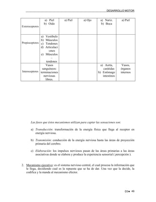 DESARROLLO MOTOR

a) Piel
b) Oido

a) Piel

a) Ojo

a) Nariz.
b) Boca

a) Piel

a) Aorta,
carátidas
b) Estómago
intestinos

Vasos,
órganos
internos

Exteroceptores

a)
b)
Propioceptores c)
d)

Vestíbulo
Músculos
Tendones
Articulaci
-ones
e) Músculos
–
tendones
Vasos
sanguíneos:
Interoceptores terminaciones
nerviosas
libres.

Las fases que éstos mecanismos utilizan para captar las sensaciones son:
a) Transducción: transformación de la energía física que llega al receptor en
energía nerviosa.
b) Transmisión: conducción de la energía nerviosa hasta las áreas de proyección
primaria del cerebro.
c) Elaboración: los impulsos nerviosos pasan de las áreas primarias a las áreas
asociativas donde se elabora y produce la experiencia sensorial ( percepción ).

2. Mecanismo ejecutivo: es el sistema nervioso central, el cual procesa la información que
le llega, decidiendo cual es la repuesta que se ha de dar. Una vez que la decide, la
codifica y la manda al mecanismo efector.

D3♥ 49

 
