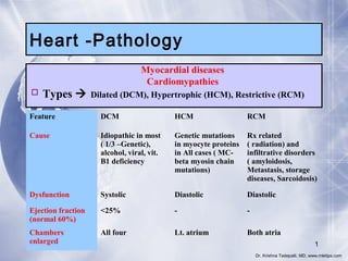 Heart -Pathology
 Types 

Myocardial diseases
Cardiomypathies
Dilated (DCM), Hypertrophic (HCM), Restrictive (RCM)

Feature

DCM

HCM

RCM

Cause

Idiopathic in most
( 1/3 –Genetic),
alcohol, viral, vit.
B1 deficiency

Genetic mutations
in myocyte proteins
in All cases ( MCbeta myosin chain
mutations)

Rx related
( radiation) and
infiltrative disorders
( amyloidosis,
Metastasis, storage
diseases, Sarcoidosis)

Dysfunction

Systolic

Diastolic

Diastolic

Ejection fraction
(normal 60%)

<25%

-

-

Chambers
enlarged

All four

Lt. atrium

Both atria
1
Dr. Krishna Tadepalli, MD, www.mletips.com

 
