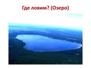 Где ловим? (Озеро)

 