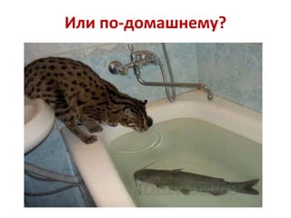 Или по-домашнему?

 