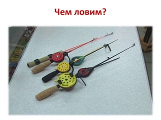 Чем ловим?

 