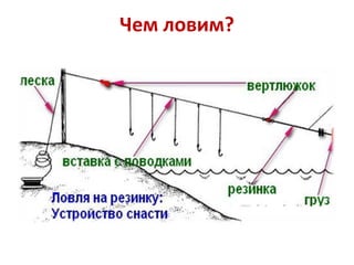 Чем ловим?

 