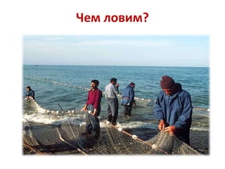 Чем ловим?

 