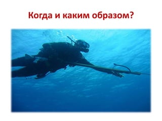 Когда и каким образом?

 