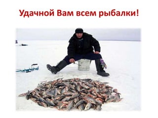 Удачной Вам всем рыбалки!

 