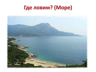 Где ловим? (Море)

 