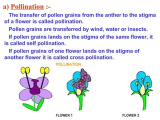 a) Pollination :The transfer of pollen grains from the anther to the stigma
of a flower is called pollination.
Pollen grains are transferred by wind, water or insects.
If pollen grains lands on the stigma of the same flower, it
is called self pollination.
If pollen grains of one flower lands on the stigma of
another flower it is called cross pollination.

 
