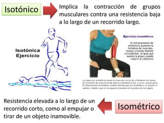Isotónico

Implica la contracción de grupos
musculares contra una resistencia baja
a lo largo de un recorrido largo.

Resistencia elevada a lo largo de un
recorrido corto, como al empujar o
tirar de un objeto inamovible.

Isométrico

 