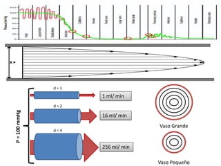 d=1

1 ml/ min
P = 100 mmHg

d=2

16 ml/ min
Vaso Grande

d=4

256 ml/ min
Vaso Pequeño

 