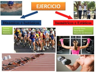 EJERCICIO
Dinámicos o Isotónicos
Ciclismo.
Natación.
Atletismo.

Isométricos o Estáticos
Levantar Pesas.
Hacer Barras.
Maquinas del Gimnasio.

 