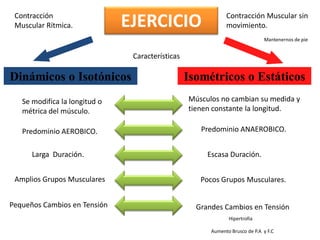 Contracción
Muscular Rítmica.

EJERCICIO

Contracción Muscular sin
movimiento.
Mantenernos de pie

Características

Dinámicos o Isotónicos

Isométricos o Estáticos

Se modifica la longitud o
métrica del músculo.

Músculos no cambian su medida y
tienen constante la longitud.

Predominio AEROBICO.

Predominio ANAEROBICO.

Larga Duración.

Escasa Duración.

Amplios Grupos Musculares

Pocos Grupos Musculares.

Pequeños Cambios en Tensión

Grandes Cambios en Tensión
Hipertrofia
Aumento Brusco de P.A y F.C

 