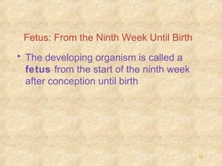 Fetus: From the Ninth Week Until Birth
• The developing organism is called a
fetus from the start of the ninth week
after conception until birth

10

 