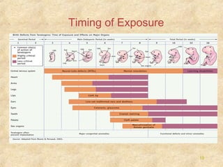 Timing of Exposure

19

 