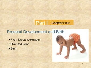 Part I

Chapter Four

Prenatal Development and Birth
From Zygote to Newborn
Risk Reduction
Birth

2

 