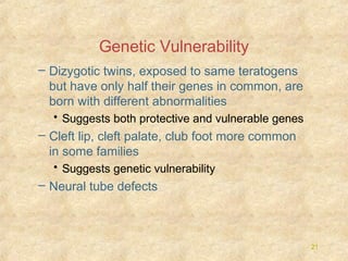 Genetic Vulnerability
– Dizygotic twins, exposed to same teratogens
but have only half their genes in common, are
born with different abnormalities
• Suggests both protective and vulnerable genes

– Cleft lip, cleft palate, club foot more common
in some families
• Suggests genetic vulnerability

– Neural tube defects

21

 