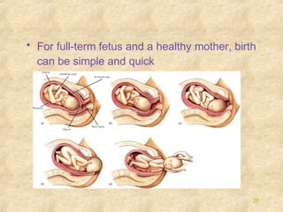 • For full-term fetus and a healthy mother, birth
can be simple and quick

26

 