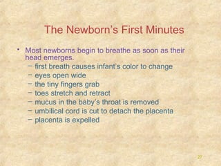 The Newborn’s First Minutes
• Most newborns begin to breathe as soon as their
head emerges.
– first breath causes infant’s color to change
– eyes open wide
– the tiny fingers grab
– toes stretch and retract
– mucus in the baby’s throat is removed
– umbilical cord is cut to detach the placenta
– placenta is expelled

27

 