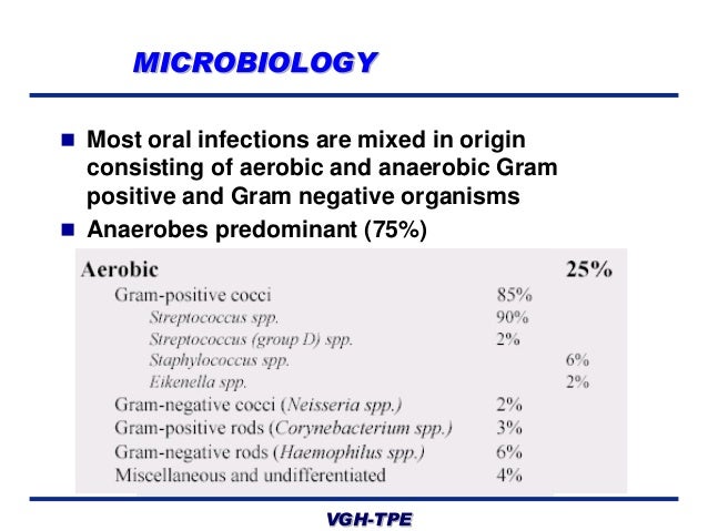 antibiotics for dental student
