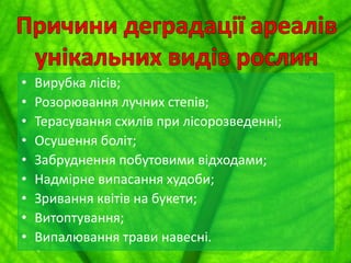 •
•
•
•
•
•
•
•
•

Вирубка лісів;
Розорювання лучних степів;
Терасування схилів при лісорозведенні;
Осушення боліт;
Забруднення побутовими відходами;
Надмірне випасання худоби;
Зривання квітів на букети;
Витоптування;
Випалювання трави навесні.

 