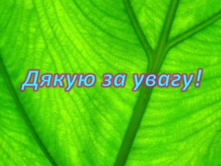 екопроект 7 чудес