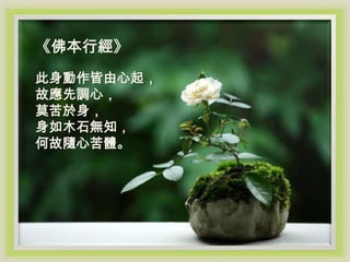 《佛本行經》 《佛本行經》

此身動作皆由心起，故應先調心，莫苦於身，身如
此身動作皆由心起，
木石無知，何故隨心苦體。
故應先調心，
莫苦於身，
身如木石無知，
何故隨心苦體。

 
