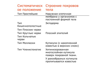 Систематическ Строение покровов
ое положение тела
Тип Простейшие

Наружная клеточная
мембрана у организмов с
постоянной формой тела

Тип
Кишечнополостные

Эктодерма

Тип Плоские черви
Тип Круглые черви
Тип Кольчатые
черви

Плоский эпителий

Тип Моллюски

Кутикула (с накопленной
известью в верхних слоях)

Тип Членистоногие

Хитинизорованная
многослойная кутикула
поверх покровной ткани.
У ракообразных кутикула
пропитывается известью

 