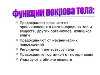 







Предохраняет организм от
проникновения в него инородных тел и
веществ, других организмов, излишков
влаги
Предохраняют от механических
повреждений
Регулируют температуру тела
Предохраняют организм от потери воды
Участвуют в обмене веществ

 