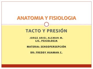 ANATOMIA Y FISIOLOGIA
TACTO Y PRESIÓN
JORGE ARIEL ALEMAN M.
LIC. PSICOLOGIA
MATERIA: SENSOPERSEPCIÓN
DR: FREDDY HUAMAN C.

 