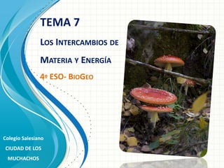 TEMA 7
LOS INTERCAMBIOS DE
MATERIA Y ENERGÍA
4º ESO- BIOGEO

Colegio Salesiano
CIUDAD DE LOS
MUCHACHOS

 