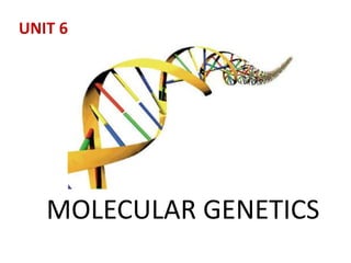 UNIT 6
MOLECULAR GENETICS
 