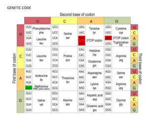 GENETIC CODE
 