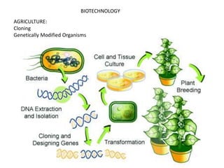 BIOTECHNOLOGY
AGRICULTURE:
Cloning
Genetically Modified Organisms
 