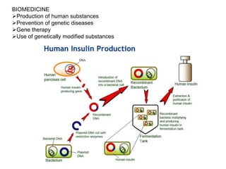 BIOMEDICINE
Production of human substances
Prevention of genetic diseases
Gene therapy
Use of genetically modified substances
 