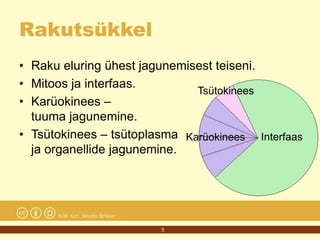 7. rakkude jagunemine | PPTX