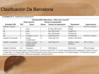 Clasificación De Barcelona
 