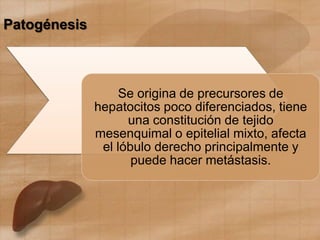 Patogénesis
Se origina de precursores de
hepatocitos poco diferenciados, tiene
una constitución de tejido
mesenquimal o epitelial mixto, afecta
el lóbulo derecho principalmente y
puede hacer metástasis.
 